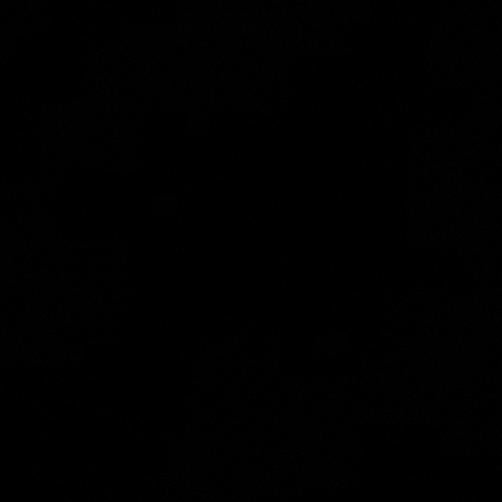 Meet your Posher, Carmen